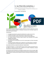 Fisiología Vegetal II