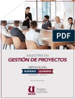 Gestion de Proyectos