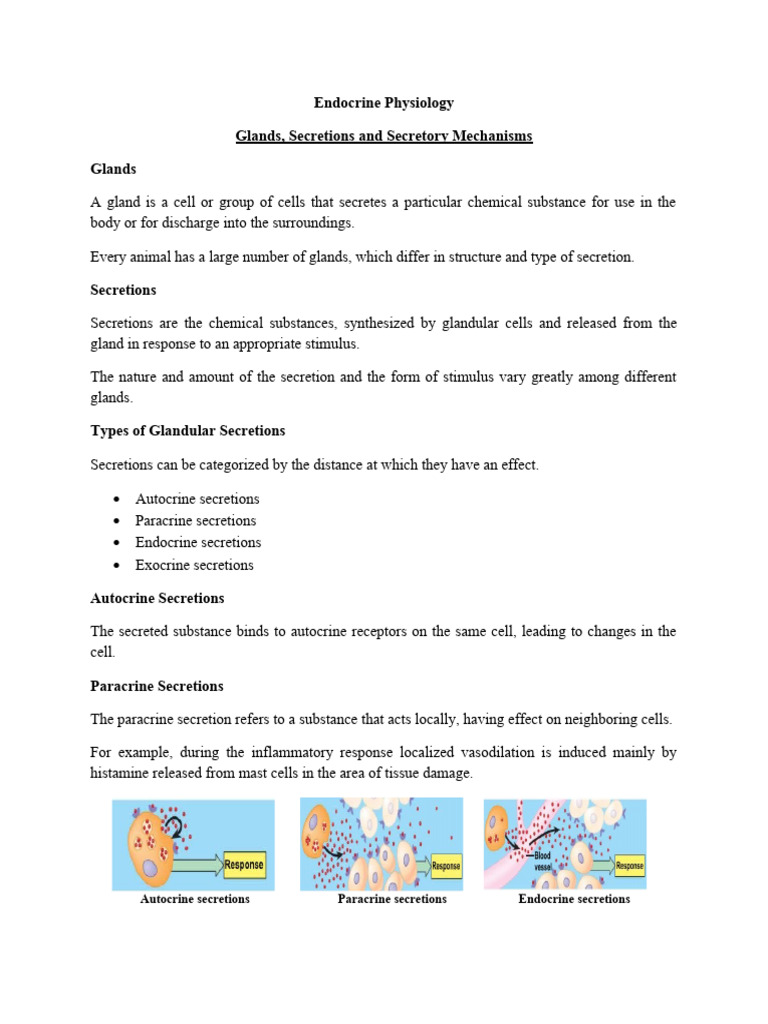 Physiology Handouts Topics (42-64) | PDF | Pituitary Gland ...