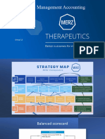 Strategy Map MERZ 3