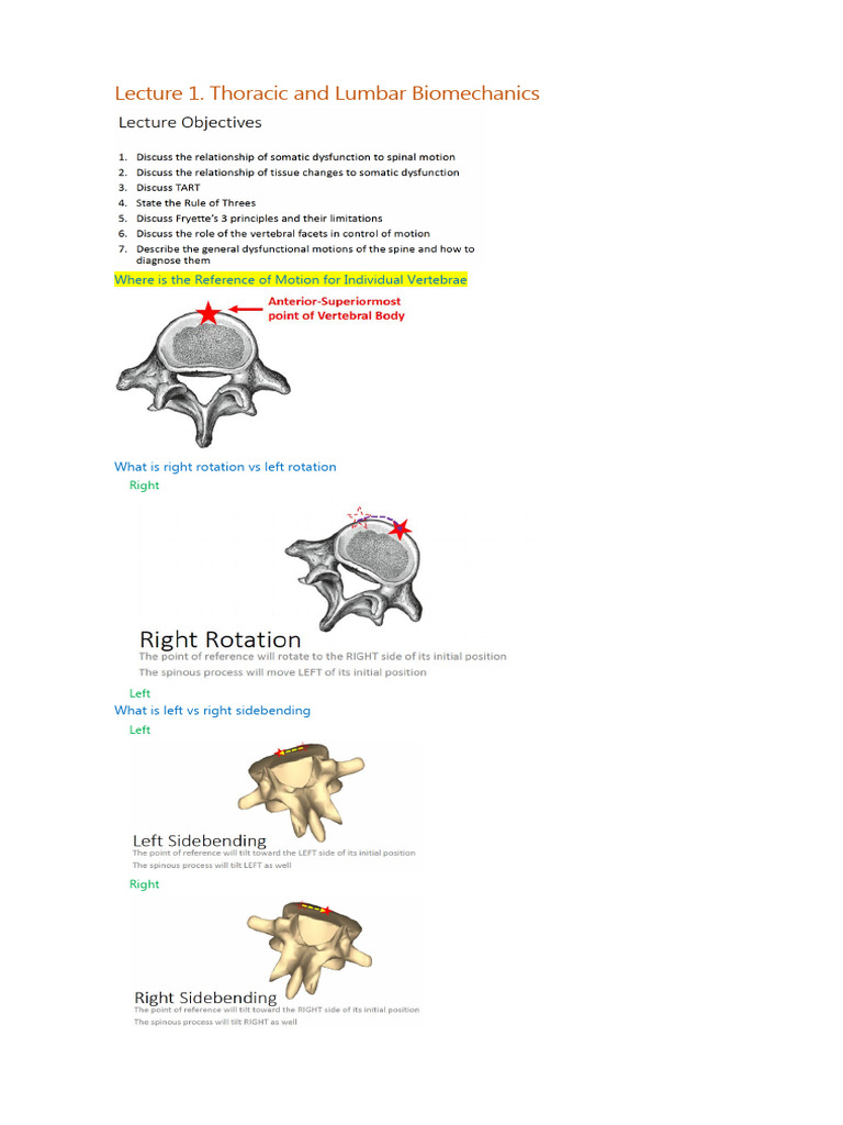 Thoracic and Lumbar Biomechanics Overview | PDF | Wellness | Science ...