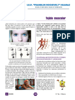 Tejido Muscular Biología 3º Secundaria