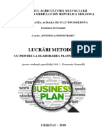 Indicatie Metodica - Plan Business
