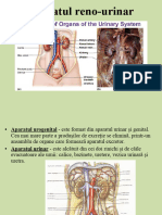 Aparat Renal