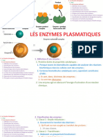 Les Enzymes Plasmatiques