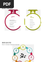 Dopamine Slide