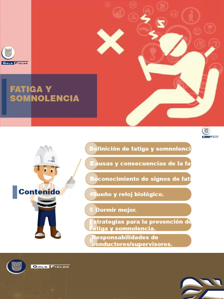 Fatiga y Somnolencia | PDF | Dormir | Determinantes de la salud