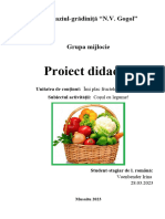 Proiect Didactic GR - Mare. - Cosul Cu Legume