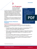 Usaid An Anemia Pregnancy Brief 2022