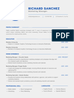 Blue Simple Professional CV Resume