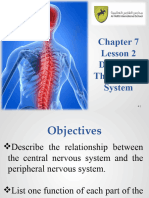 Grade 8 Biology Chapter 7 Lesson 2