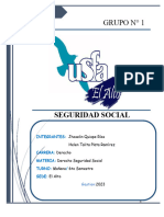 Seguridad Ssocial GRUPO