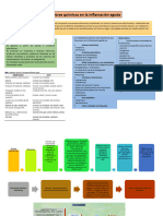 Mediadores Químicos de La Inflamación Aguda