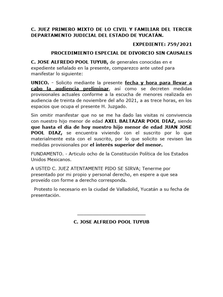 Solicitud Audiencia Pdf