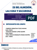 Síntesis Del Almidón, Lactosa y Sacarosa - Grupo 03
