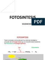 Fotosintesis