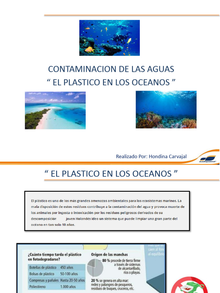 Contaminación por Plásticos en Océanos | PDF | El plastico | Ciencias ...