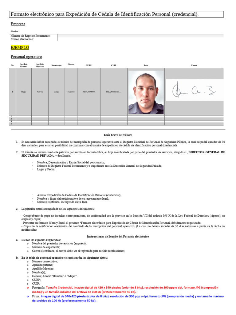 CIP_Solicitud | PDF | Resolución de imagen | Informática