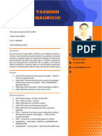 CV Actulizado - Delgado Mauricio Rosmery .......