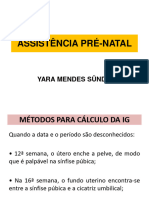 Consulta de Pré Natal - Calculo Da DPP e Ig - 230525 - 191635