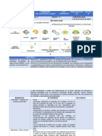 Planeacion Pensaiento Cinetifico 2024