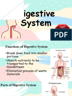 Digestive System