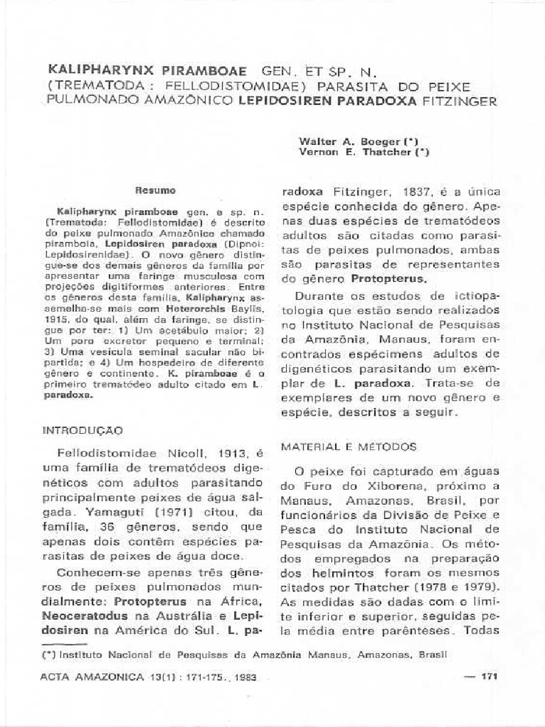 v-13-n-1-a-13-pdf
