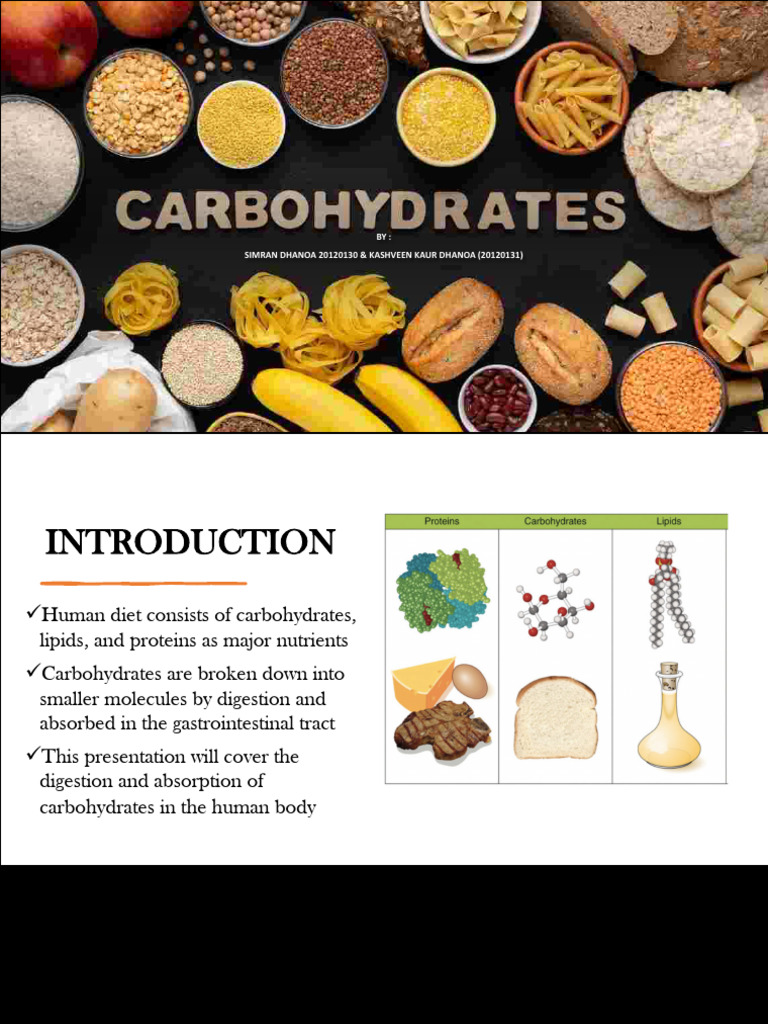 Carbohydrates PDF Digestion Carbohydrates