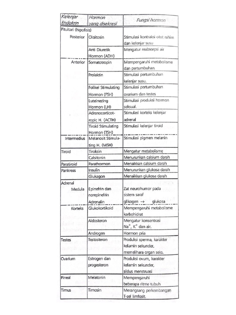 Tabel Sistem Hormon | PDF