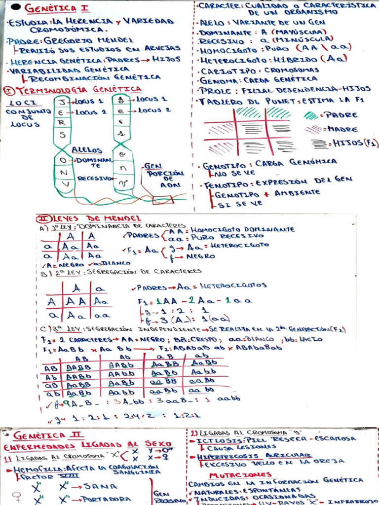 Genetic A | PDF