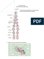 Latihan Soal Pas Ipa