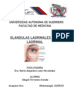 Glandulas y Via Lagrimal
