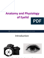 Anatomy and Physiology of Eyelid