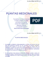 Las Plantas Medicinales