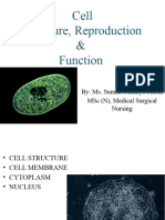 Cell Strucutre