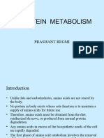 Amino Acid Metabolism