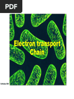 Electron Transport Chain