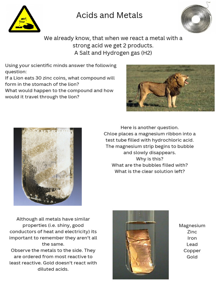 acids-and-metals-pdf-magnesium-acid