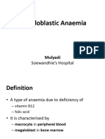 Megaloblastic Anaemia - Mulyadi