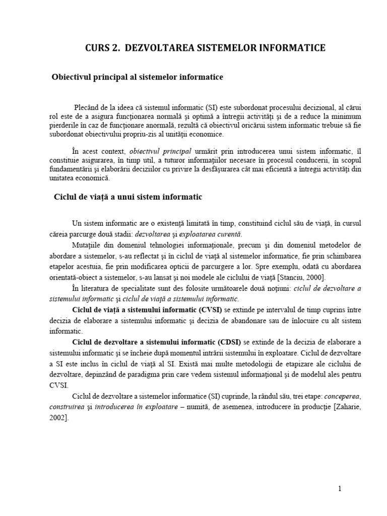 CURS 2 - Sisteme Informatice Pentru Afaceri | PDF