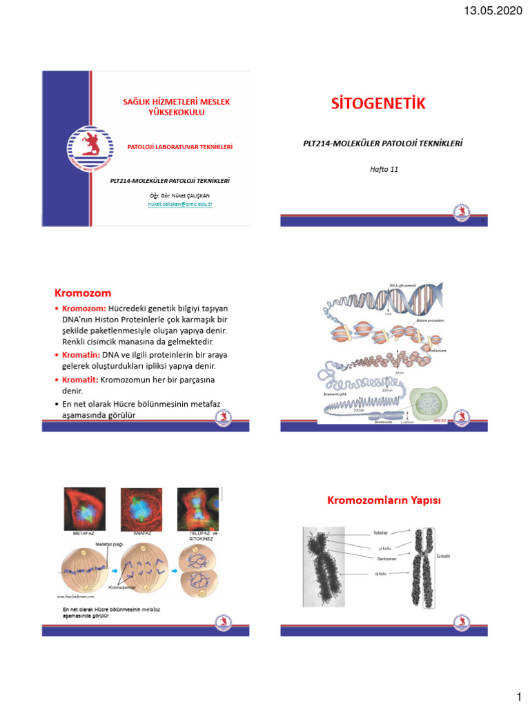 Mol. Pat. 11 | PDF