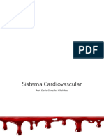 Sistema Cardiovascular DMG