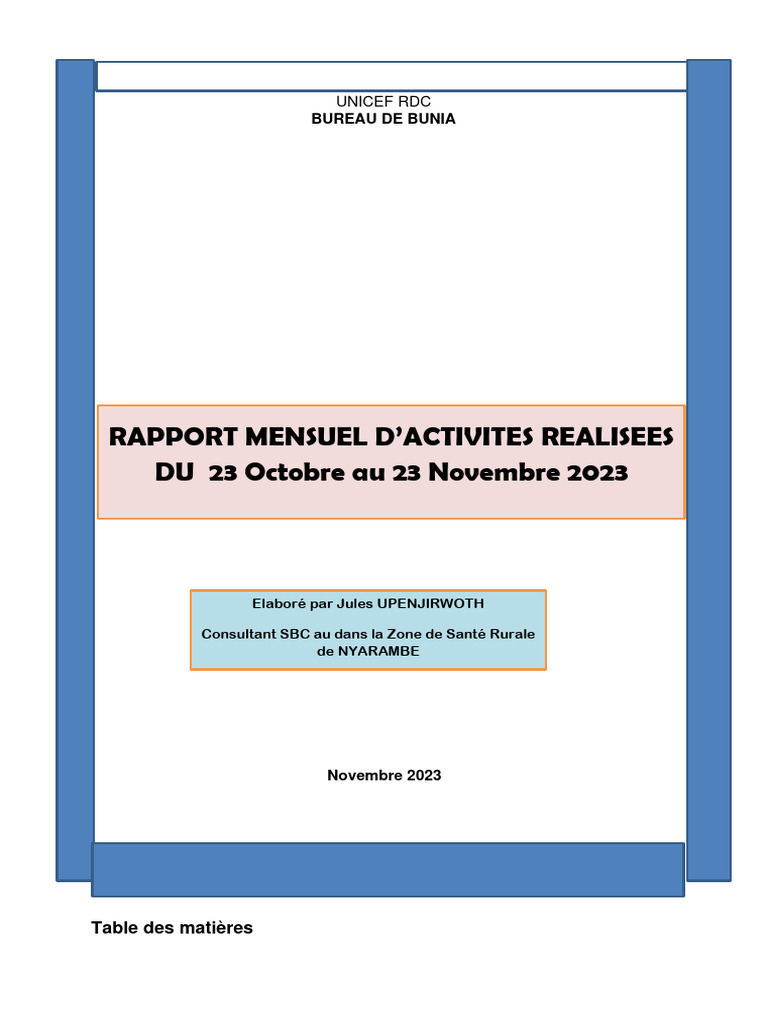Rapport Mensuel Consultance - ZS - Nyarambe - Jules - Novembre | PDF