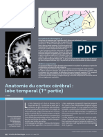 Anatomie Du Cortex Cérébral: Lobe Temporal (1 Partie)