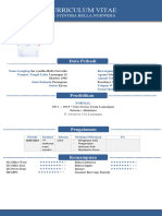 Template CV KANDIDAT