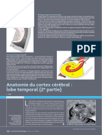 Anatomie Du Cortex Cérébral: Lobe Temporal (2 Partie)