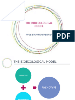Bioecological+model+-+Bronfenbrenner