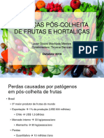 Doenças Pós-Colheita de Frutas e Hortaliças 2016