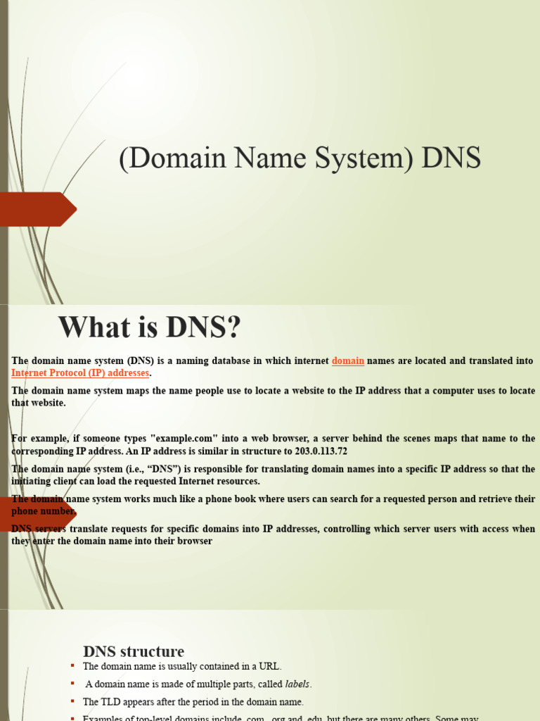 Understanding the Domain Name System | PDF