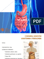 Aparell Digestiu 2017